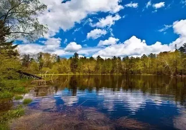 仙女山国家森林公园最美景色,仙峰国家森林公园千年红豆杉景区