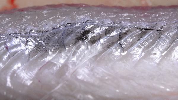 鳗烤肉现烤活鳗鱼探店,食妞