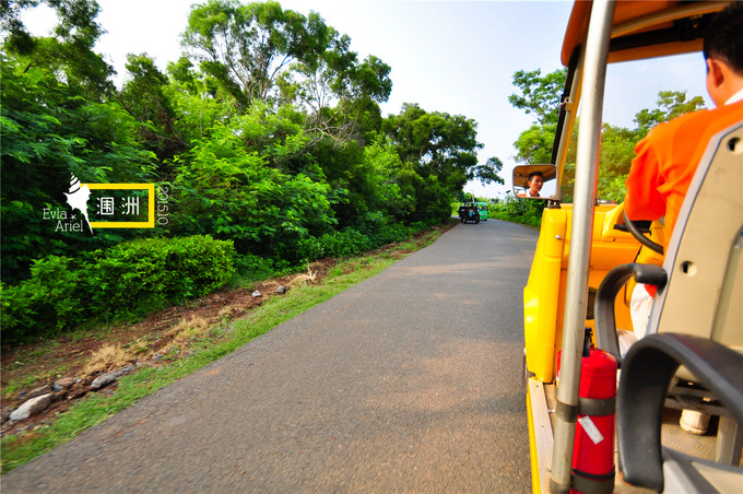 涠洲岛的浪漫旅行,和你去浪漫的涠洲岛