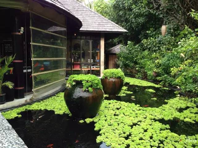 马尔代夫的蜜月岛值得去吗,去马尔代夫度蜜月感受