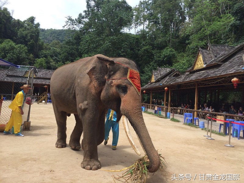 走进七彩云南完整版,七彩云南身临其境