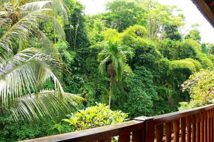 巴厘岛美拉艺术酒店,巴厘岛巴厘艺术中心