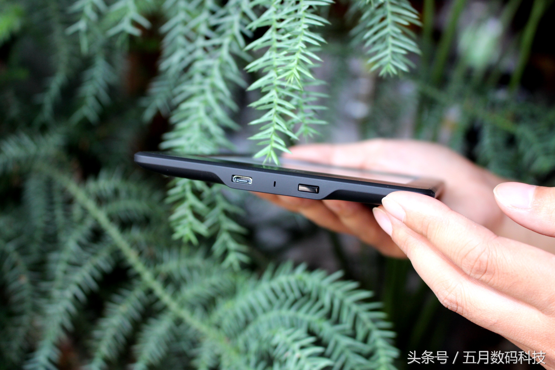 Myfirstkindle，书到用时方恨少，快来读书