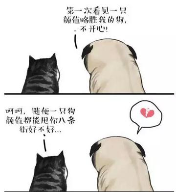 原创|“吾皇”老爸白茶来蓉破解婆媳千古难题