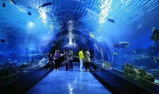 关注20个银川之最,你知道几个?搞定一半你就太牛了!