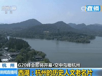 去不了杭州就来杯龙井,去不了杭州