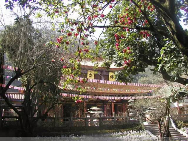 缅甸地震了吗,缅甸倒塌的大佛