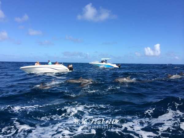 毛里求斯的日常,孤独的毛里求斯