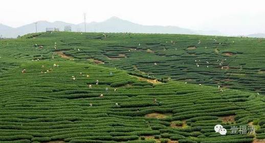 福清周末一个人去哪里玩,周末去哪玩推荐几个地方福清万达