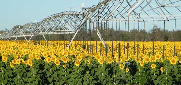 5种现代化农业机械一览,中国十大先进农业机械