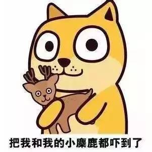 孕妇惊险产子,惊险孕妇深夜高速产子