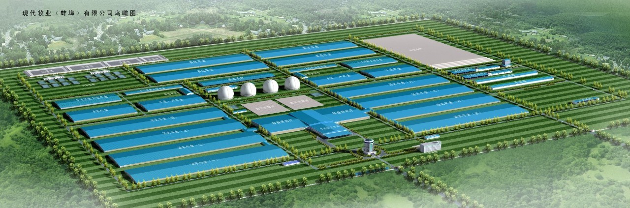 40年前蚌埠有多辉煌,这五年来我们都有哪些进步