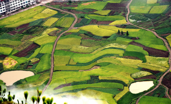 不能忘却的历史九一八,勿忘九一八风景图