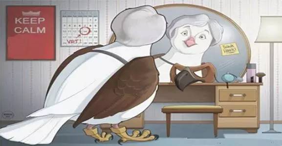 和你侃:国家队操盘手KPI考核满分!