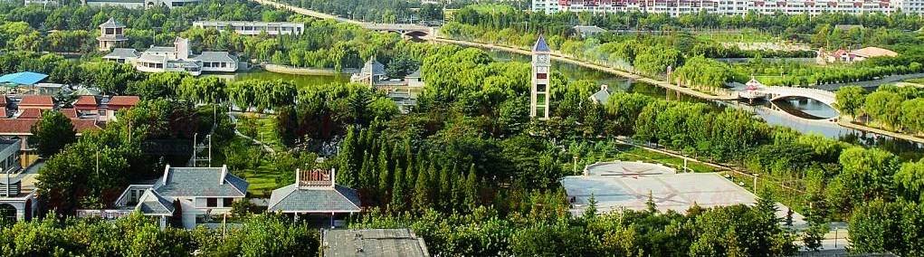 山东未来五年规划,不得了山东话