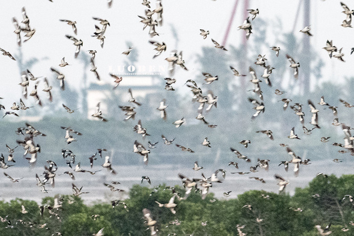 国庆美食一日游,国庆旅游各地美食推荐