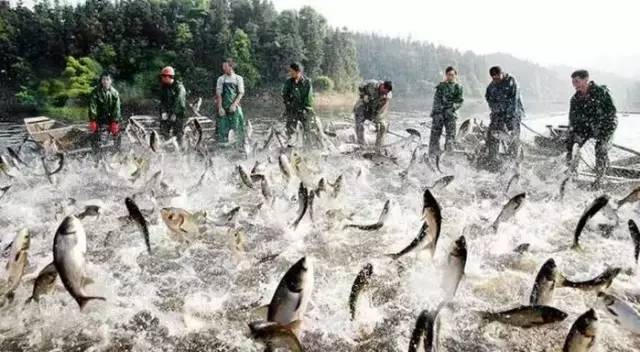 江西10.1小众自驾游路线推荐,江西最好的10条自驾游线路