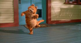 就让加菲毁掉你的中秋吧喵哈哈哈