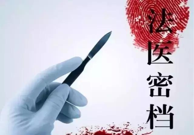 有什么好看的新片推荐一下,哪些好看的剧不要钱