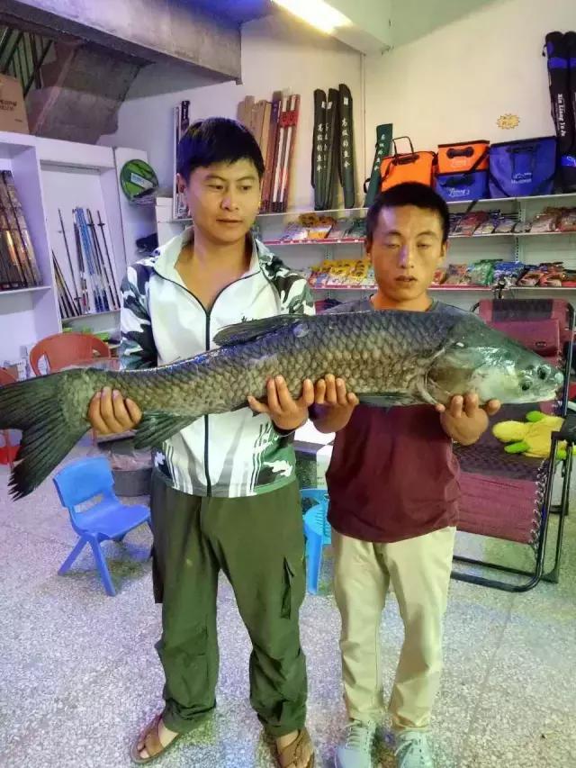 閽撻奔娓旇幏鎴樻姤,閽撻奔浜虹鎭╃埍