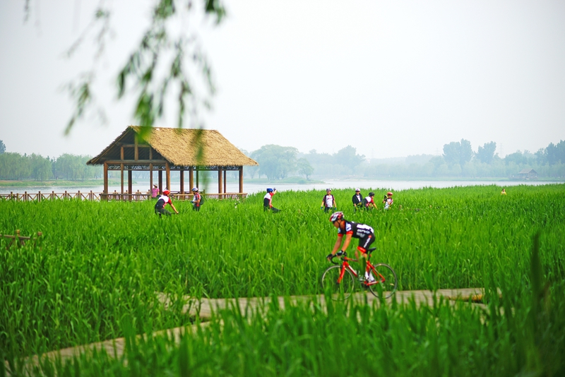 通州副中心精装现房,通州城市副中心服务中心