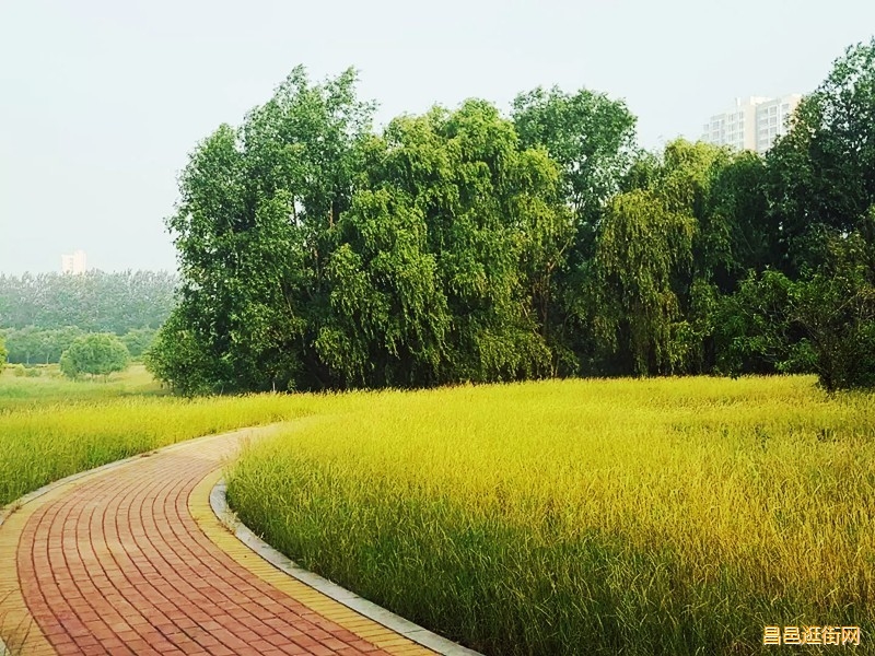 潍坊昌邑，一座如此好色之城，我的家乡我骄傲