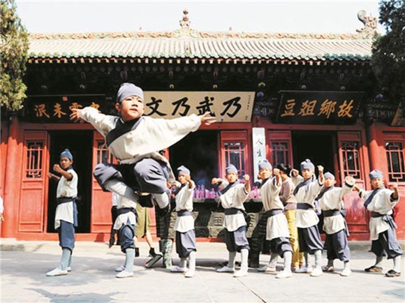 河南的拳,河南有什么拳