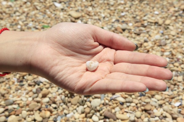 去大连必须做的6件事,去大连一定要做的事