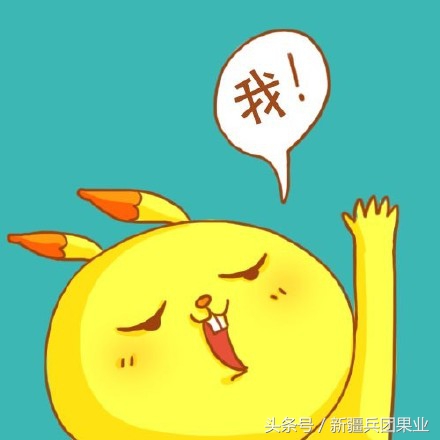 没打过基底的核桃,没打过底的核桃还有救吗