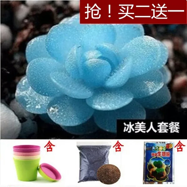 一招识破谎言的方法,什么是避免被骗的有效方法