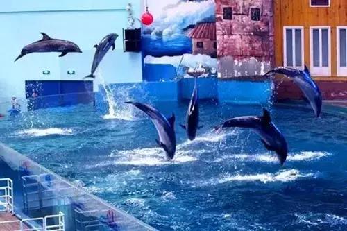 西安国庆大唐不夜城有什么节目,西安国庆有什么玩的