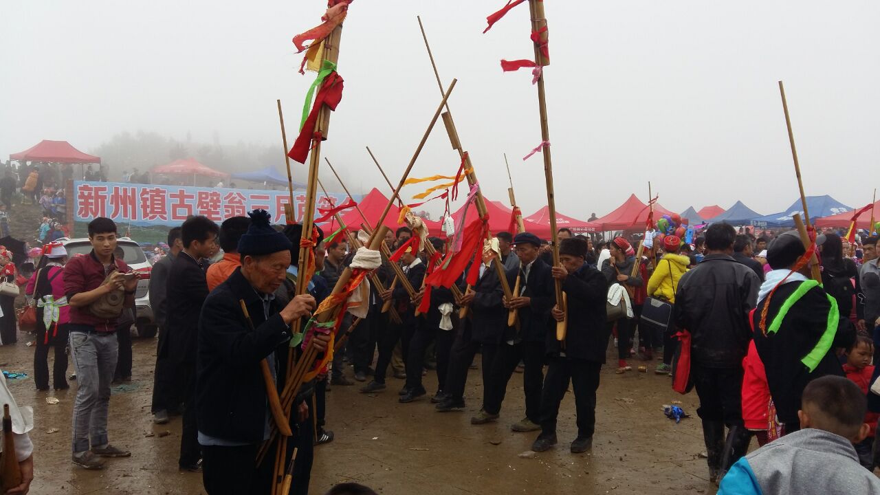 与众不同的斗牛,斗牛精神的魅力