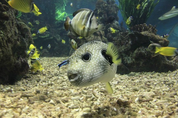 去大连必须做的6件事,去大连一定要做的事