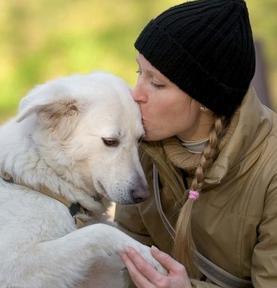 狗身上的腥味怎么才能去除,狗狗身上又腥又臭怎么回事