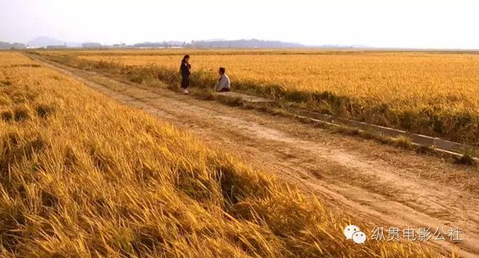 真实事件改编猎奇电影日本,一口气看完杀人案件