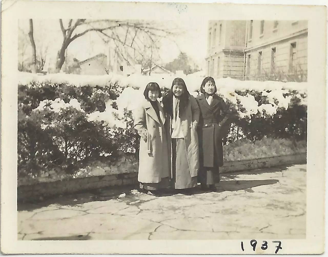 李佩的一生经历,李佩的人生经历