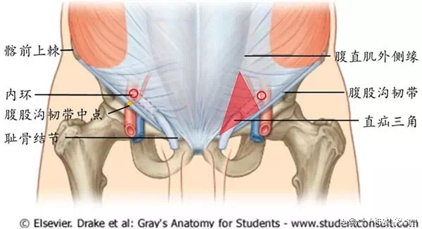 十大常见运动损伤部位及防治,运动损伤最容易出现部位