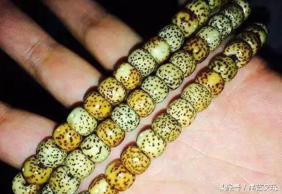 阴皮星月盘花了是什么样子,星月盘花了怎么办