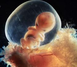 什么是头盆不称？小宝宝头盆不称能顺产吗？