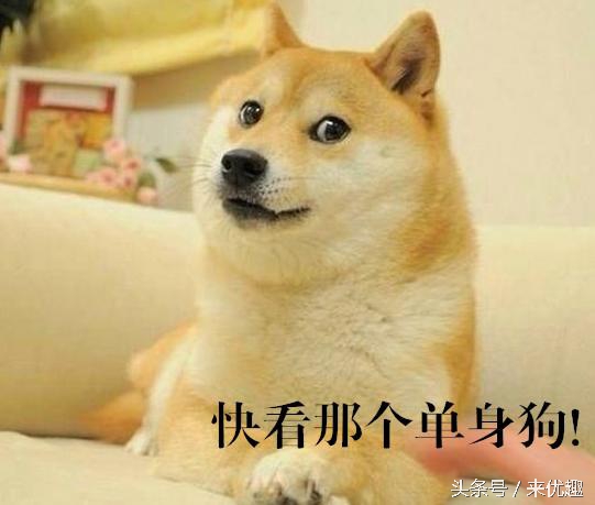 单身狗阶段性想谈恋爱,单身狗们有想恋爱的冲动吗