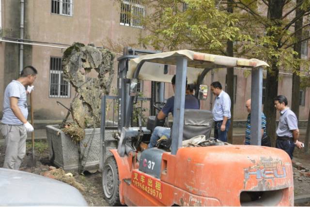 寿县三中老校区拆迁,寿县三中学校最新消息