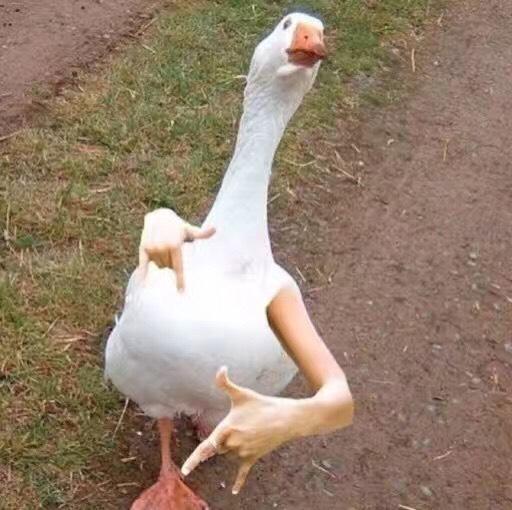 平民价补水爽肤水,平民爽肤水排行榜第一名