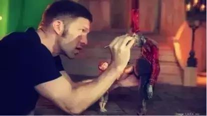 拒绝斯坦福offer,放弃百亿家产,靠捏泥成为霸道总裁!