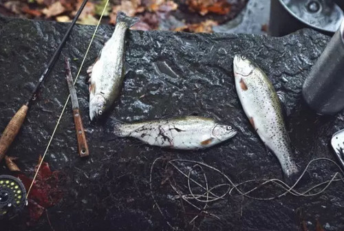 关于食品添加剂你不得不知道的事,关于食品添加剂这些事你得知道