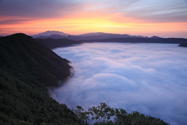 厉害了我的哥中文版,厉害了我的哥合集