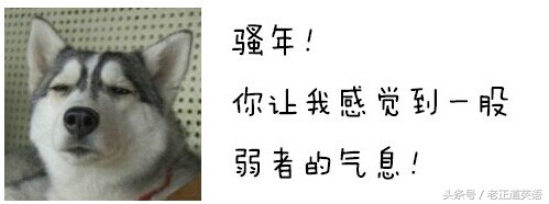 学霸真情告白知乎,学渣英语六级