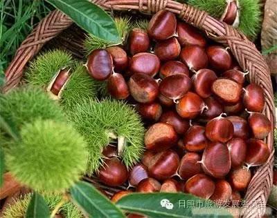 国庆黄金周，我们为您奉上日照旅游饕餮盛宴！