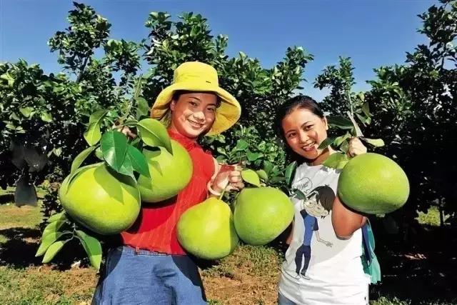 澄迈深度游攻略,国庆澄迈游玩
