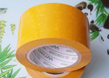 猫咪为什么会掉毛呢及如何清理掉落的猫毛？