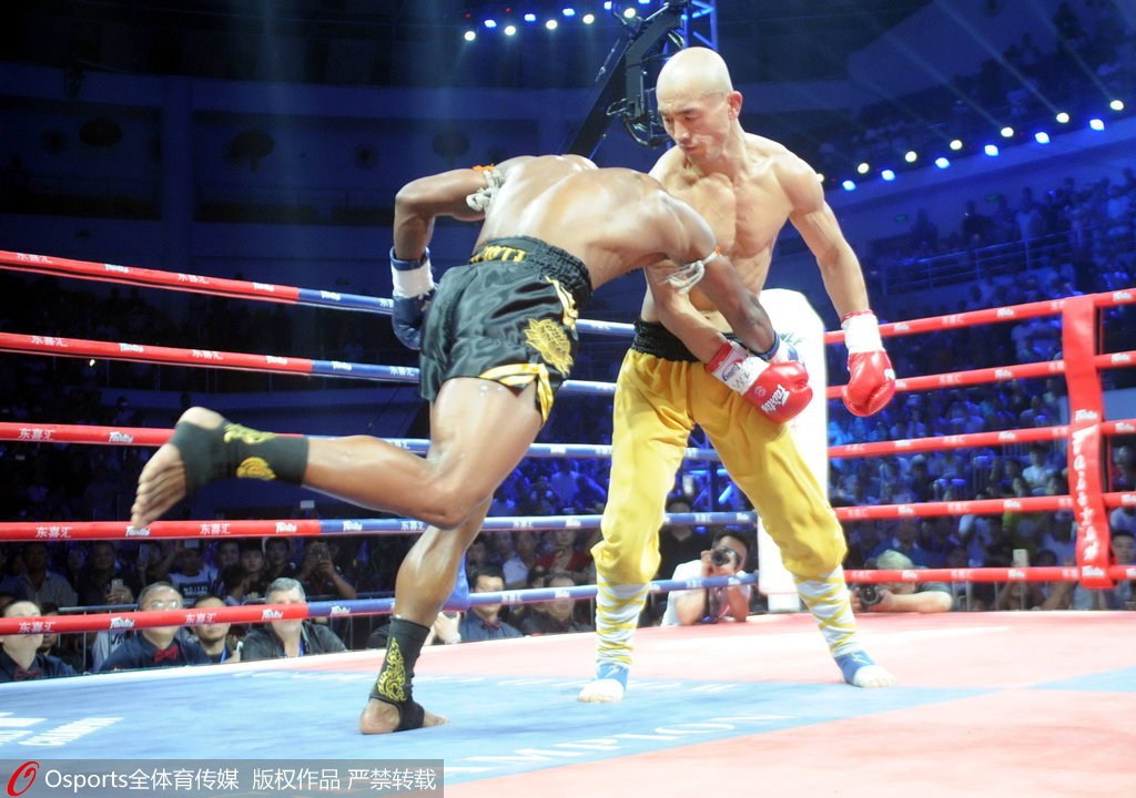 杨华评价丁俊晖,杨华评论中国